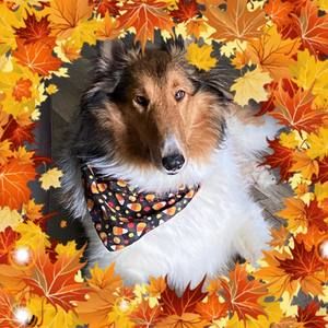 Meet your Posher, Kathy